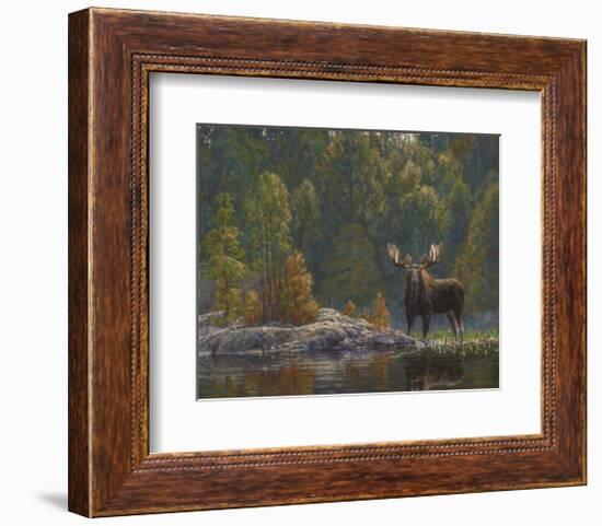 North Country Moose-Bruce Miller-Framed Art Print