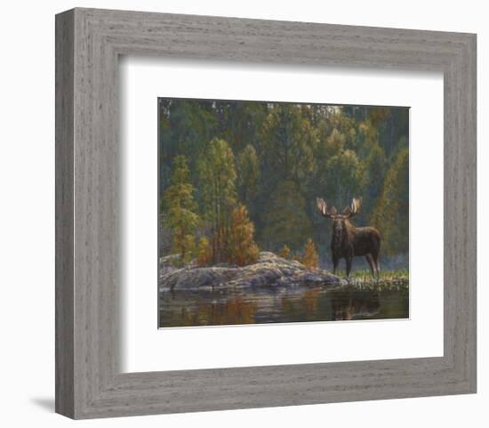 North Country Moose-Bruce Miller-Framed Art Print