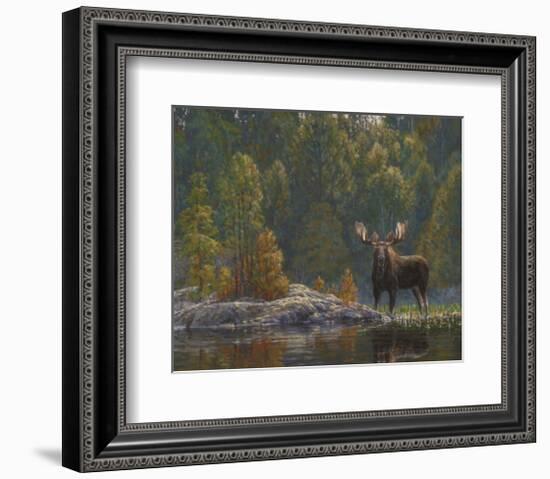 North Country Moose-Bruce Miller-Framed Art Print