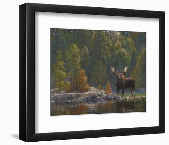 North Country Moose-Bruce Miller-Framed Art Print