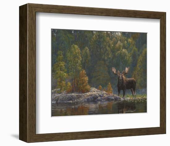 North Country Moose-Bruce Miller-Framed Art Print