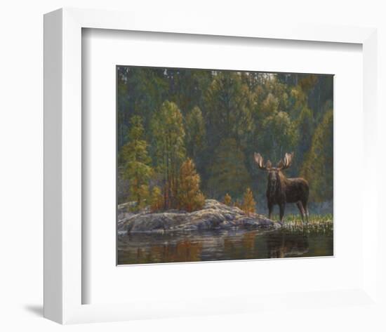 North Country Moose-Bruce Miller-Framed Art Print