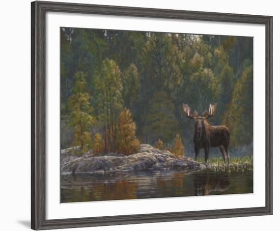 North Country Moose-Bruce Miller-Framed Art Print