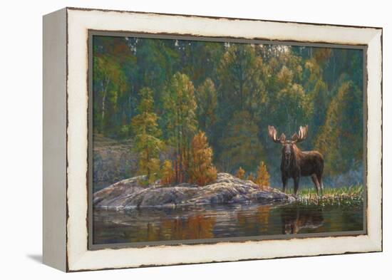 North Country Moose-Bruce Miller-Framed Premier Image Canvas