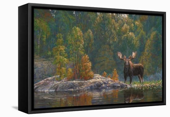 North Country Moose-Bruce Miller-Framed Premier Image Canvas