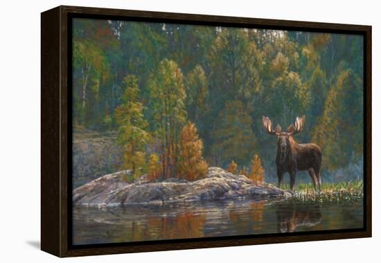 North Country Moose-Bruce Miller-Framed Premier Image Canvas