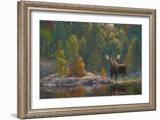 North Country Moose-Bruce Miller-Framed Giclee Print