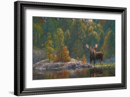 North Country Moose-Bruce Miller-Framed Giclee Print