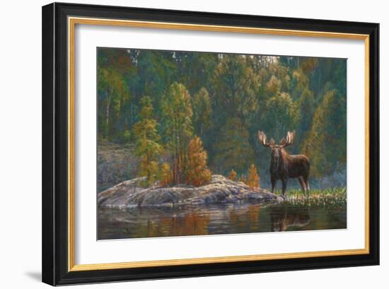 North Country Moose-Bruce Miller-Framed Giclee Print