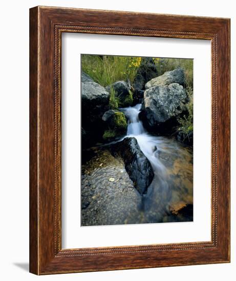 North Creek Tumbles Through Boulders, Schell Creek Range, Mt. Grafton Wilderness, Nevada, USA-Scott T. Smith-Framed Photographic Print