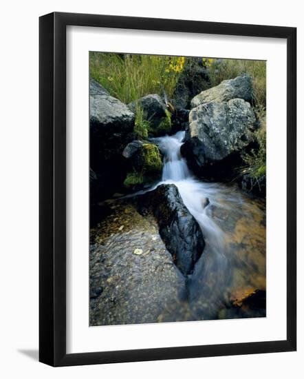 North Creek Tumbles Through Boulders, Schell Creek Range, Mt. Grafton Wilderness, Nevada, USA-Scott T. Smith-Framed Photographic Print