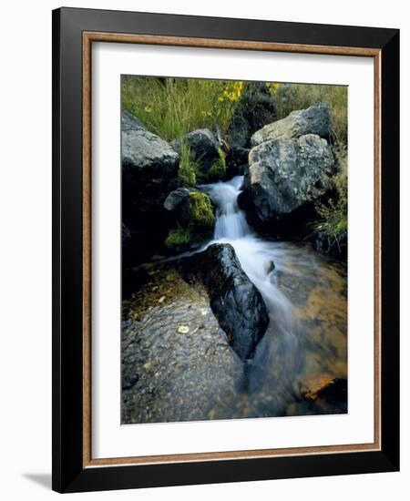 North Creek Tumbles Through Boulders, Schell Creek Range, Mt. Grafton Wilderness, Nevada, USA-Scott T. Smith-Framed Photographic Print