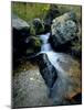 North Creek Tumbles Through Boulders, Schell Creek Range, Mt. Grafton Wilderness, Nevada, USA-Scott T. Smith-Mounted Photographic Print