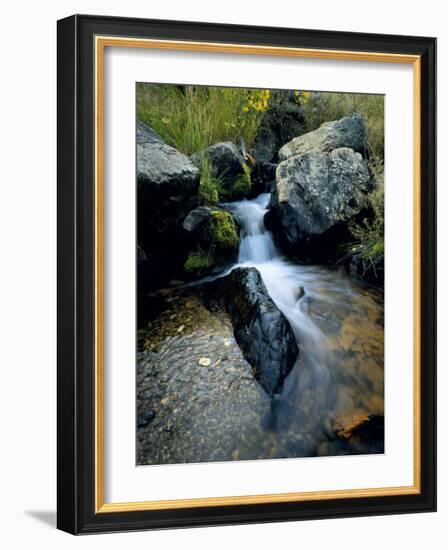 North Creek Tumbles Through Boulders, Schell Creek Range, Mt. Grafton Wilderness, Nevada, USA-Scott T. Smith-Framed Photographic Print