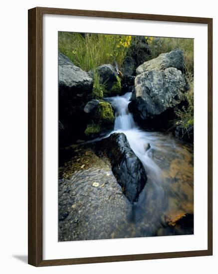 North Creek Tumbles Through Boulders, Schell Creek Range, Mt. Grafton Wilderness, Nevada, USA-Scott T. Smith-Framed Photographic Print