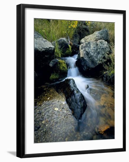 North Creek Tumbles Through Boulders, Schell Creek Range, Mt. Grafton Wilderness, Nevada, USA-Scott T. Smith-Framed Photographic Print