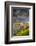 North Dakota, Theodore Roosevelt National Park, Thunderstorm Approach on the Dakota Prairie-Judith Zimmerman-Framed Photographic Print