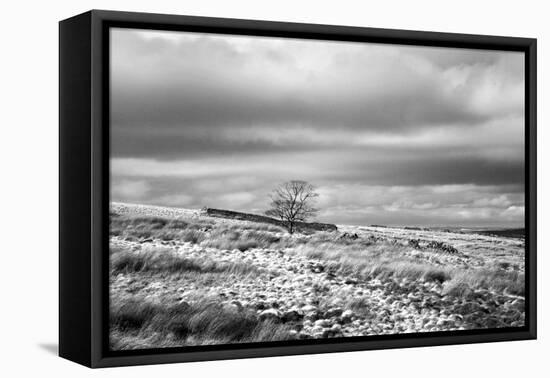 North England Landscape-Mark Sunderland-Framed Premier Image Canvas