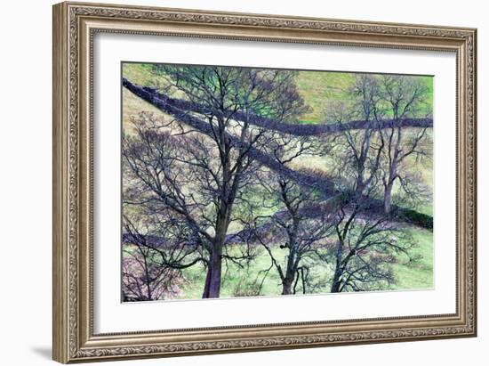 North England Landscape-Mark Sunderland-Framed Photographic Print