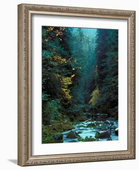 North Fork of Santiam River, Central Oregon Cascades, USA-Janis Miglavs-Framed Photographic Print