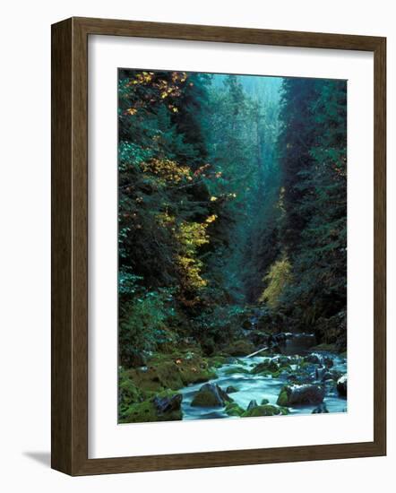 North Fork of Santiam River, Central Oregon Cascades, USA-Janis Miglavs-Framed Photographic Print