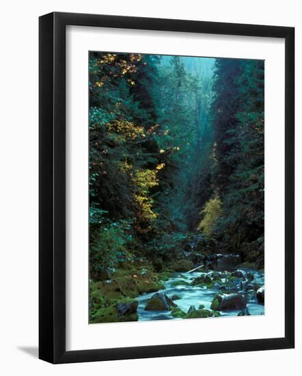 North Fork of Santiam River, Central Oregon Cascades, USA-Janis Miglavs-Framed Photographic Print