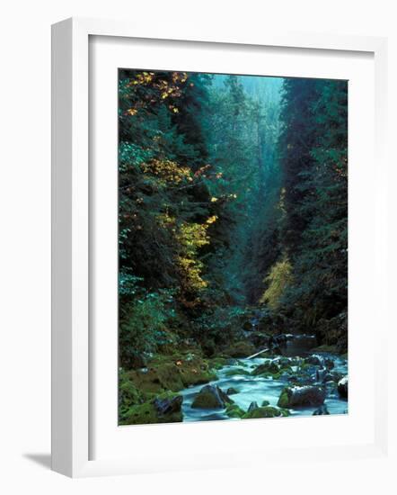 North Fork of Santiam River, Central Oregon Cascades, USA-Janis Miglavs-Framed Photographic Print