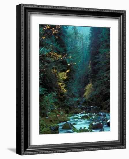 North Fork of Santiam River, Central Oregon Cascades, USA-Janis Miglavs-Framed Photographic Print