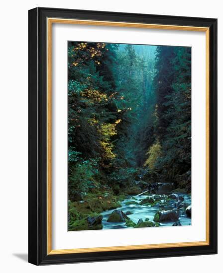 North Fork of Santiam River, Central Oregon Cascades, USA-Janis Miglavs-Framed Photographic Print