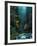 North Fork of Santiam River, Central Oregon Cascades, USA-Janis Miglavs-Framed Photographic Print