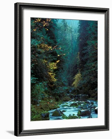 North Fork of Santiam River, Central Oregon Cascades, USA-Janis Miglavs-Framed Photographic Print