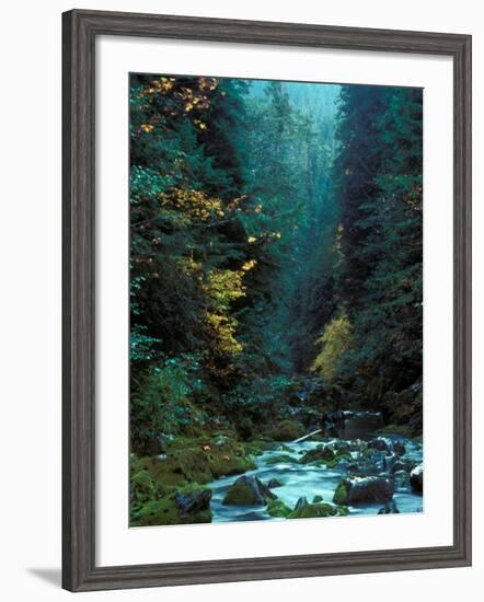 North Fork of Santiam River, Central Oregon Cascades, USA-Janis Miglavs-Framed Photographic Print