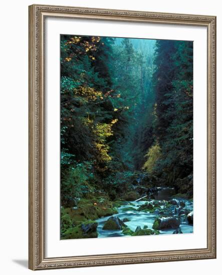 North Fork of Santiam River, Central Oregon Cascades, USA-Janis Miglavs-Framed Photographic Print