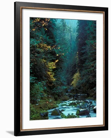 North Fork of Santiam River, Central Oregon Cascades, USA-Janis Miglavs-Framed Photographic Print