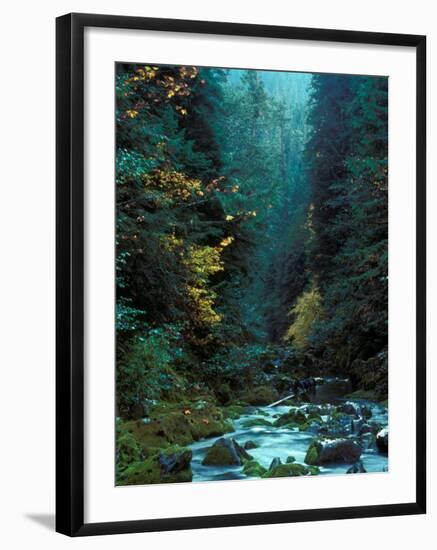 North Fork of Santiam River, Central Oregon Cascades, USA-Janis Miglavs-Framed Photographic Print