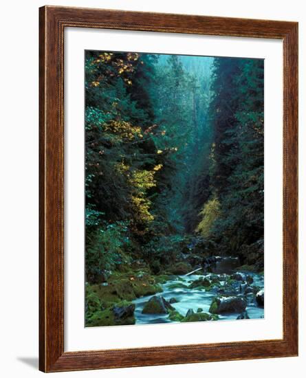 North Fork of Santiam River, Central Oregon Cascades, USA-Janis Miglavs-Framed Photographic Print