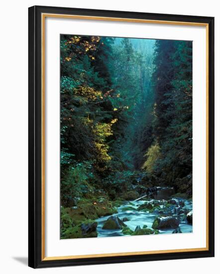 North Fork of Santiam River, Central Oregon Cascades, USA-Janis Miglavs-Framed Photographic Print