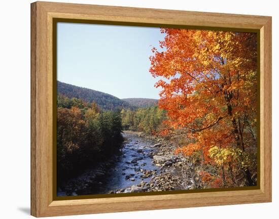 North Fork of the Potomac River, Potomac State Forest, Maryland, USA-Adam Jones-Framed Premier Image Canvas