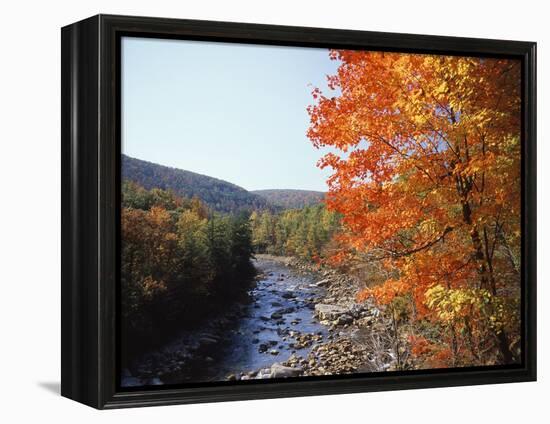 North Fork of the Potomac River, Potomac State Forest, Maryland, USA-Adam Jones-Framed Premier Image Canvas