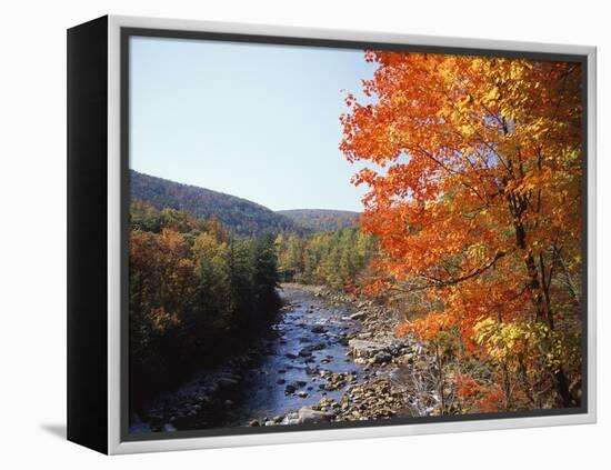 North Fork of the Potomac River, Potomac State Forest, Maryland, USA-Adam Jones-Framed Premier Image Canvas