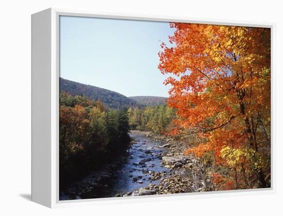 North Fork of the Potomac River, Potomac State Forest, Maryland, USA-Adam Jones-Framed Premier Image Canvas