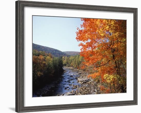 North Fork of the Potomac River, Potomac State Forest, Maryland, USA-Adam Jones-Framed Photographic Print