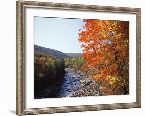 North Fork of the Potomac River, Potomac State Forest, Maryland, USA-Adam Jones-Framed Photographic Print