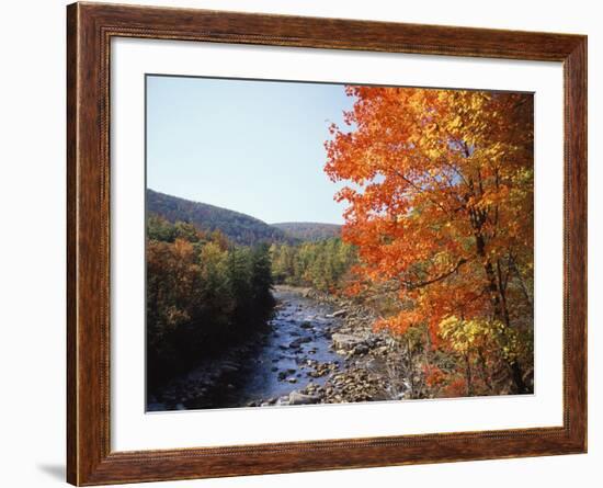 North Fork of the Potomac River, Potomac State Forest, Maryland, USA-Adam Jones-Framed Photographic Print