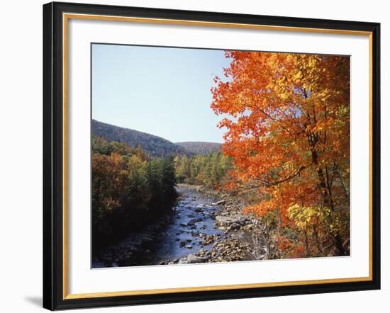 North Fork of the Potomac River, Potomac State Forest, Maryland, USA-Adam Jones-Framed Photographic Print