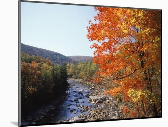 North Fork of the Potomac River, Potomac State Forest, Maryland, USA-Adam Jones-Mounted Photographic Print