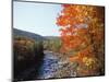 North Fork of the Potomac River, Potomac State Forest, Maryland, USA-Adam Jones-Mounted Photographic Print