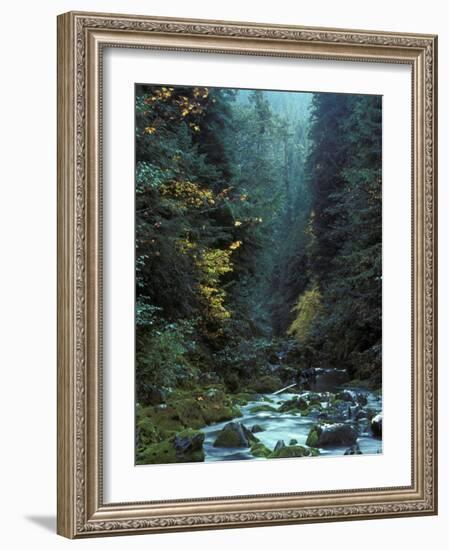 North Fork Santiam River near Opal Creek, Oregon Cascades, USA-Janis Miglavs-Framed Photographic Print