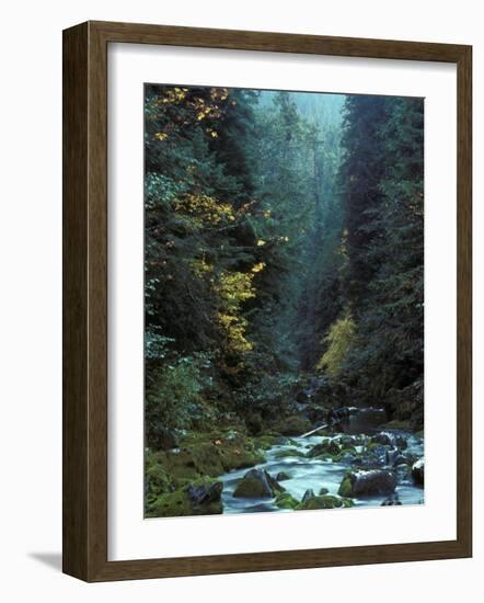 North Fork Santiam River near Opal Creek, Oregon Cascades, USA-Janis Miglavs-Framed Photographic Print