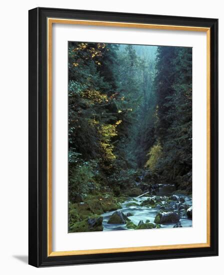 North Fork Santiam River near Opal Creek, Oregon Cascades, USA-Janis Miglavs-Framed Photographic Print